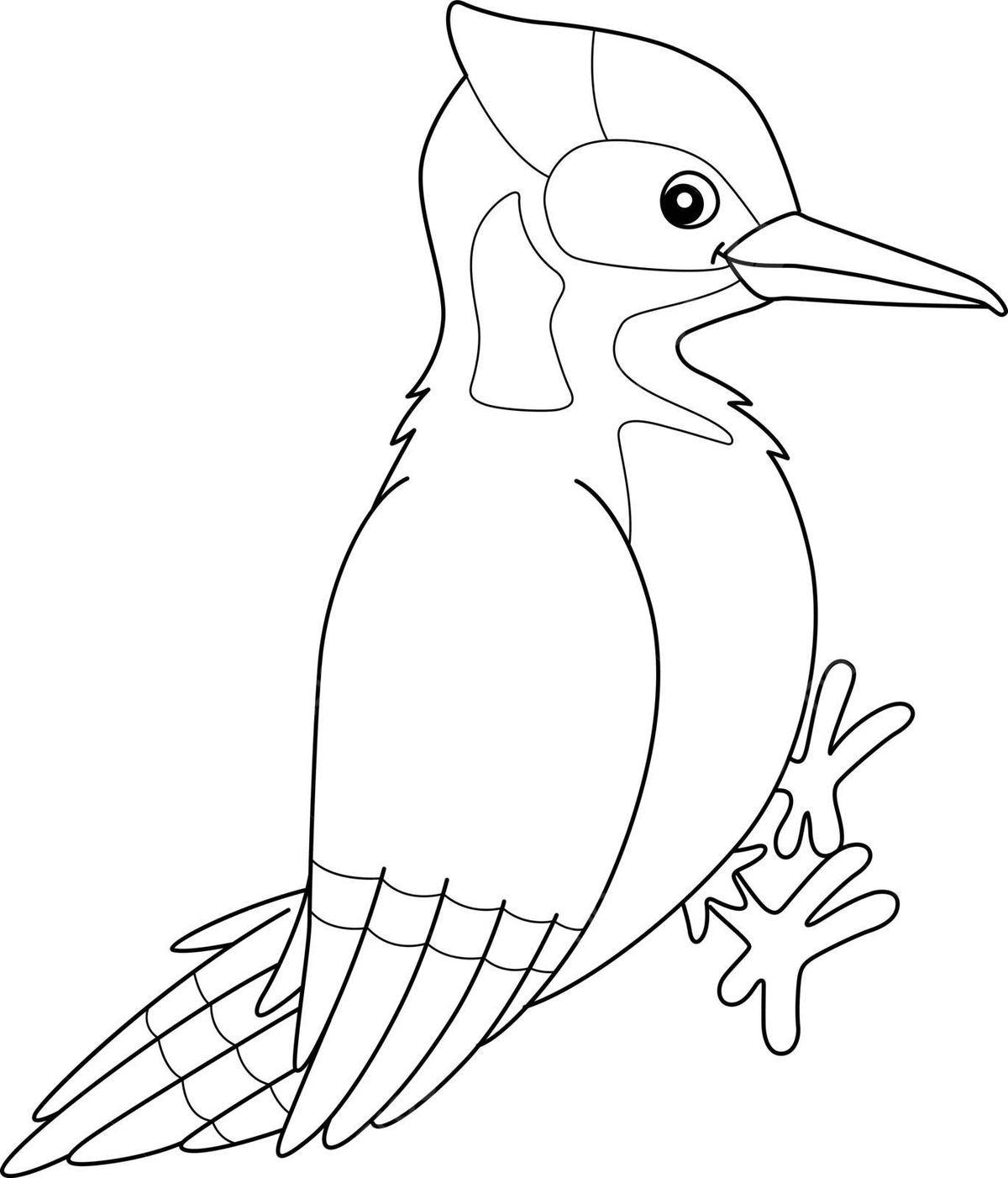 Woodpecker bird animal coloring page for kids wrynecks drawing coloring vector animal drawing bird drawing wing drawing png and vector with transparent background for free download