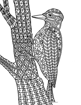 Woodpecker bird zentangle coloring page by pamela kennedy tpt