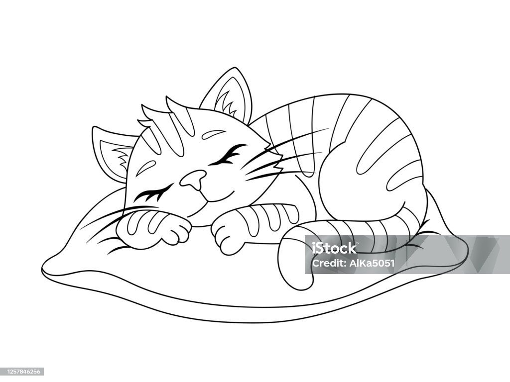 Cute cartoon sleeping cat on the pillow black and white vector illustration for coloring book stock illustration