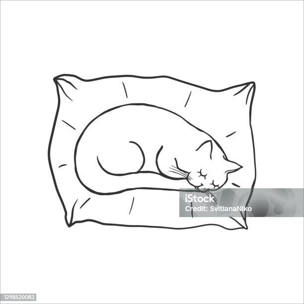 Cute sleeping cat on the pillow baby doodle coloring pages cartoon character cat childish outline illustration