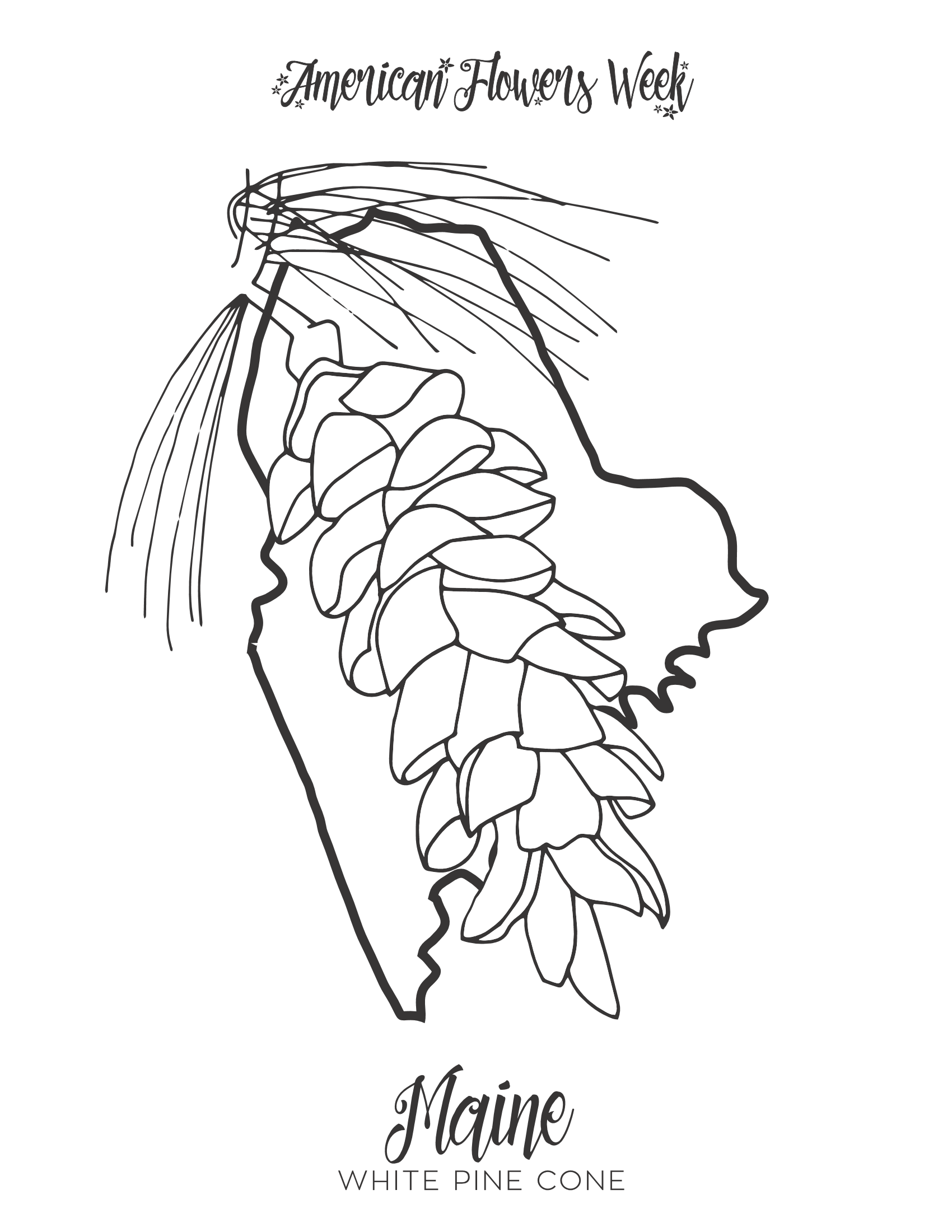 State flowers â free coloring pages â american flowers week