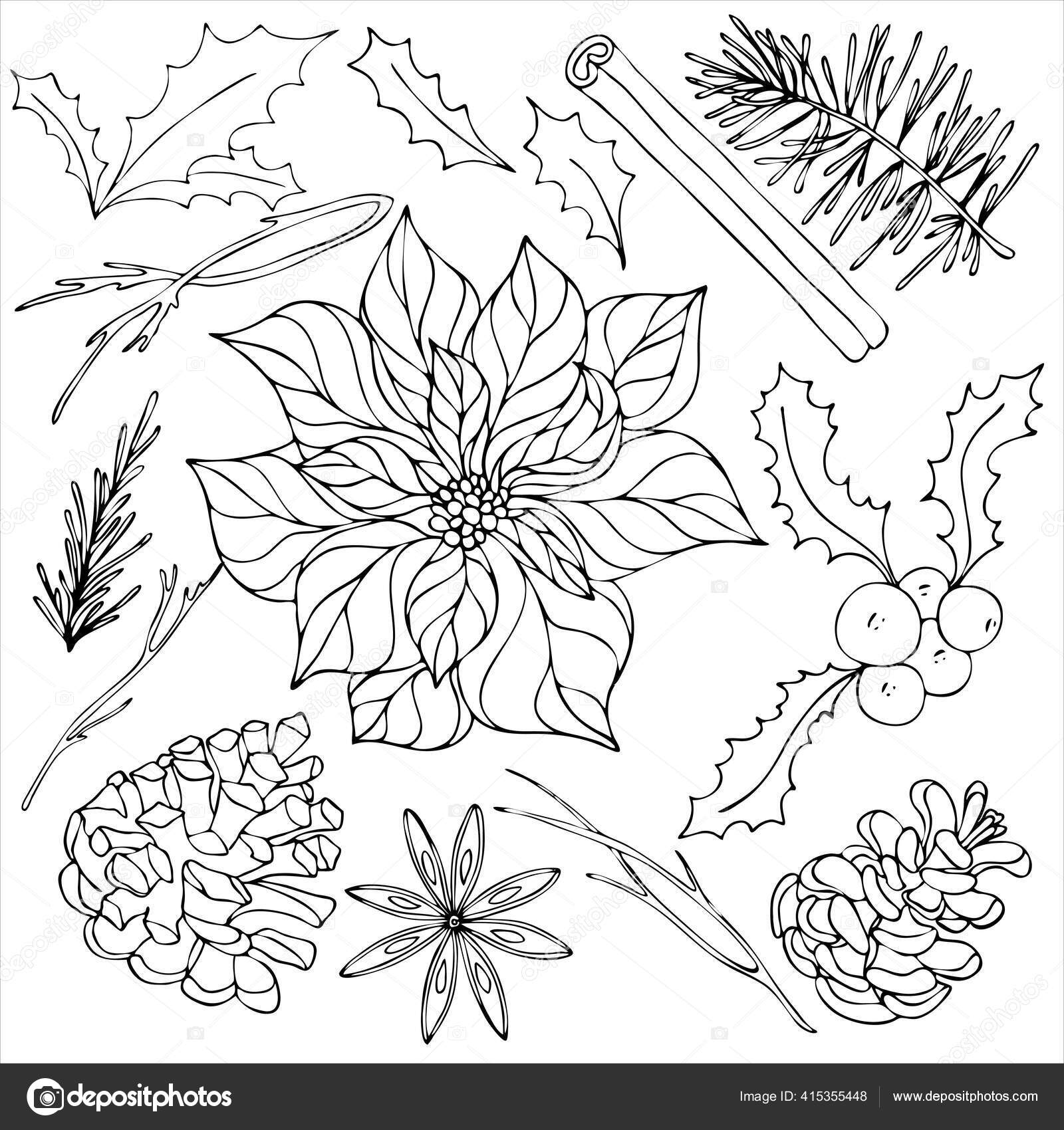 Decorative elements new year christmas poinsettia holly pine cone cinnamon stock vector by margarrita