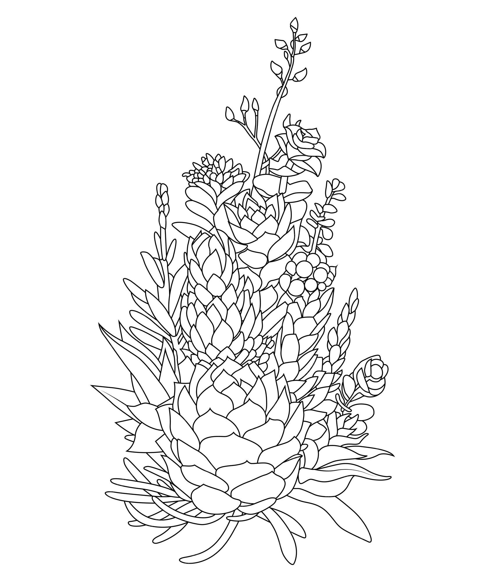 Premium vector hand drawn line art succulent cacti and cactus bouquet coloring book page illustration for adult