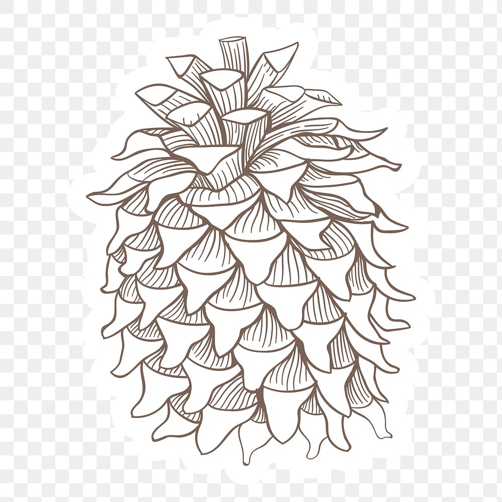 Plant png images free png vector graphics effects backgrounds