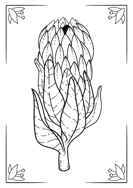 Premium vector vector handdrawn botanical coloring book page
