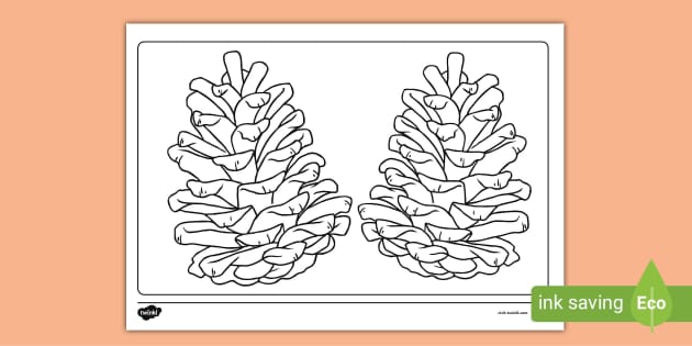 Fir nes louring page teacher made