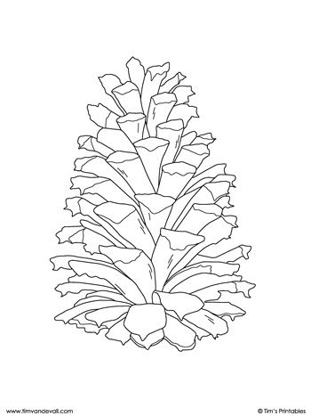 Pine cone template outline printable â tims printables