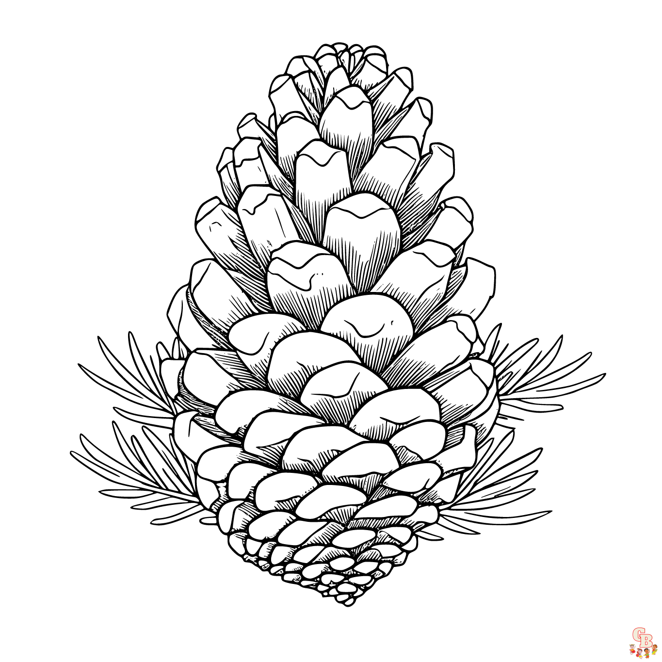 Printable pine cone coloring pages free for kids and adults