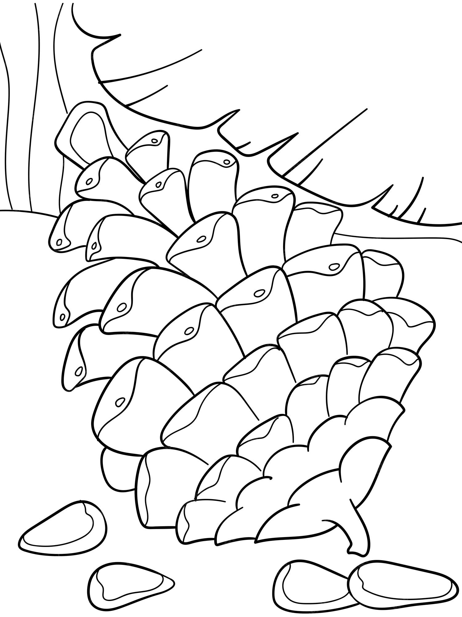 Premium vector childrens book coloring book forest bump from spruce conifer cone