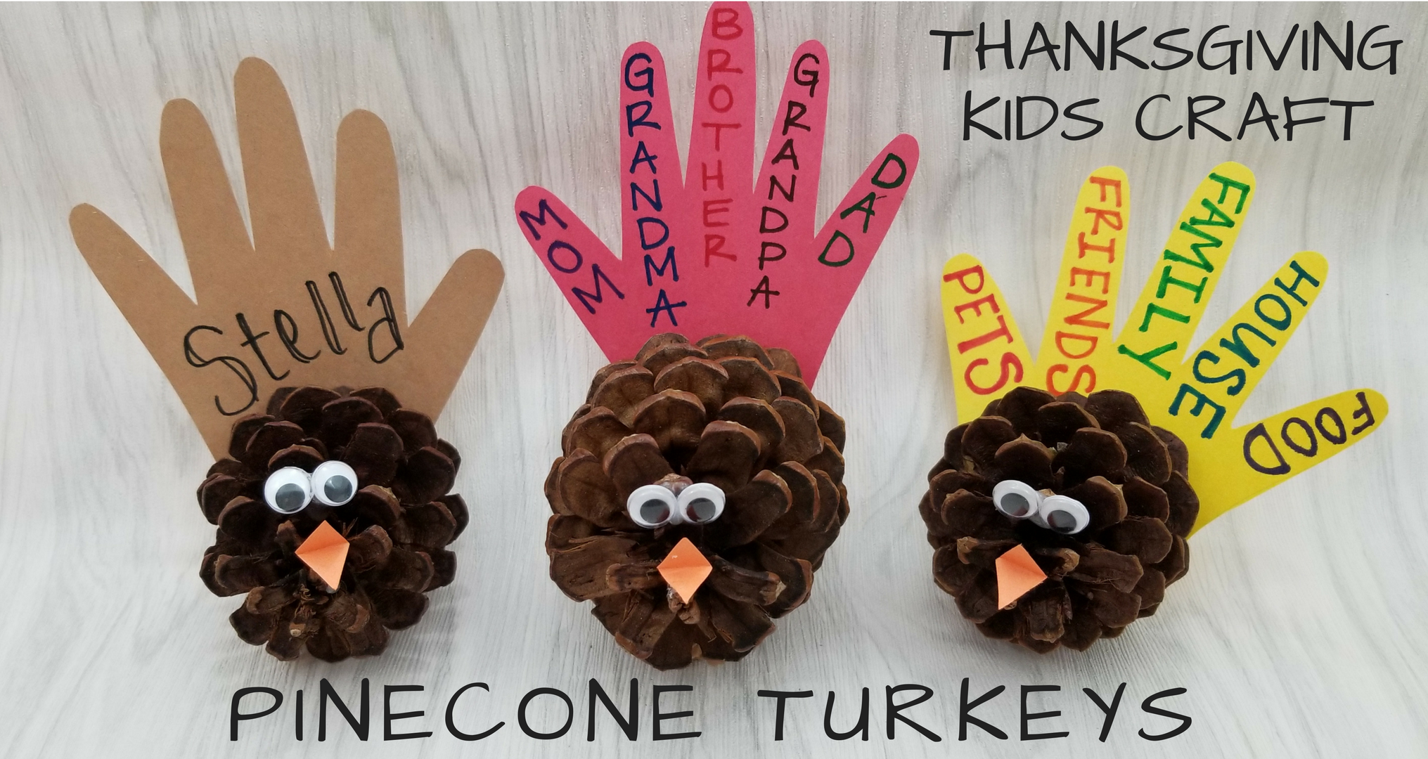 Pinecone turkey thanksgiving craft for kids â faber