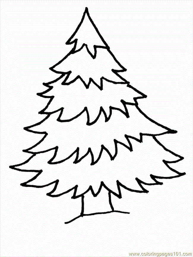 Free coloring pages pine tree download free coloring pages pine tree png images free cliparts on clipart library