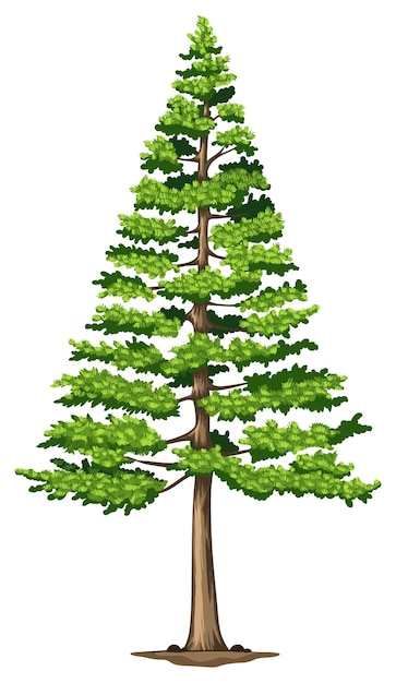 Page pine trees images