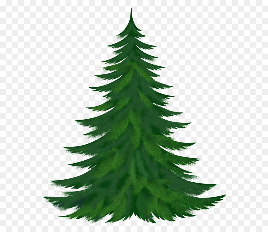 Pine tree silhouette png download