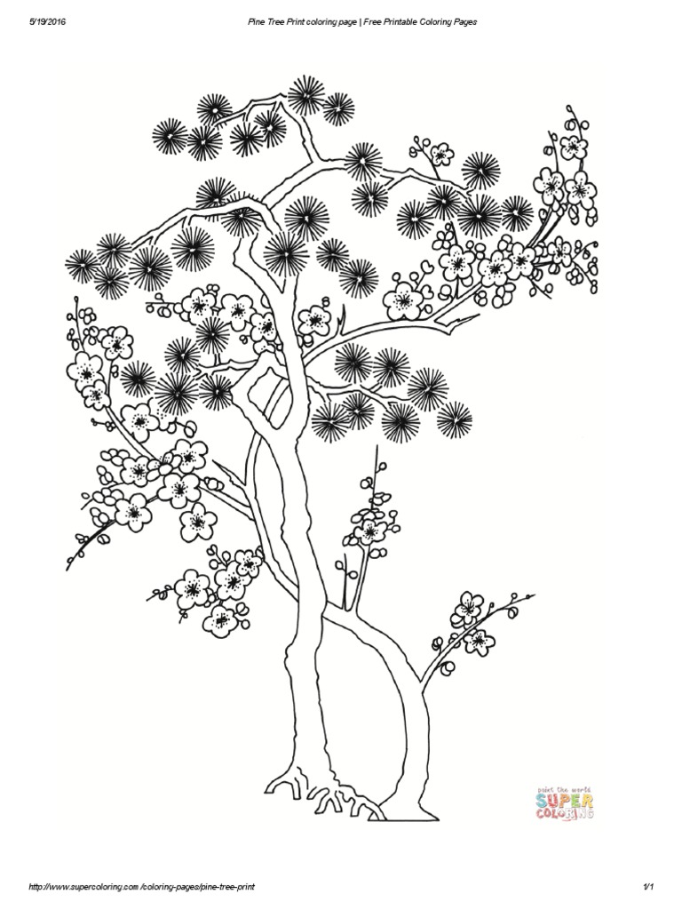 Pine tree print coloring page