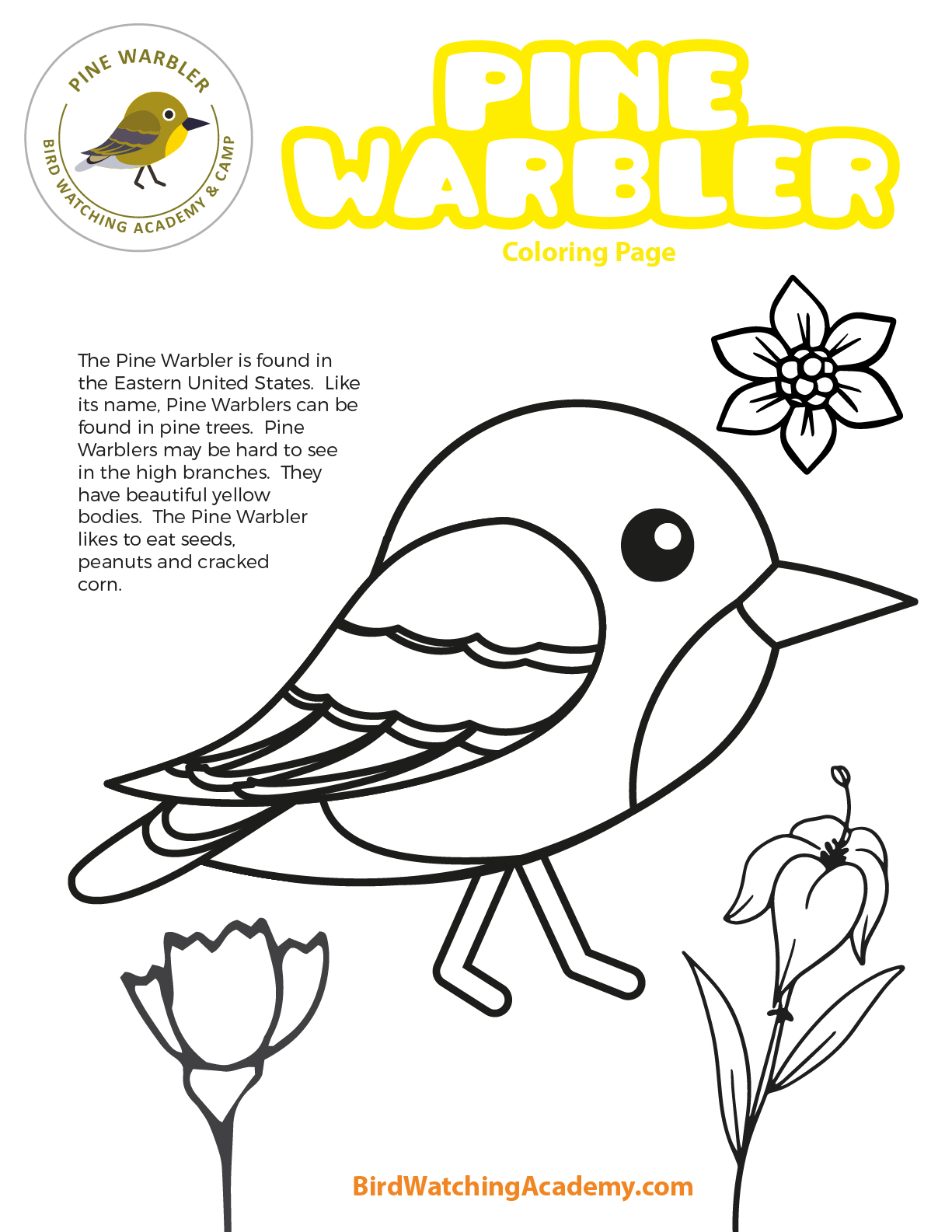 Pine warbler coloring page