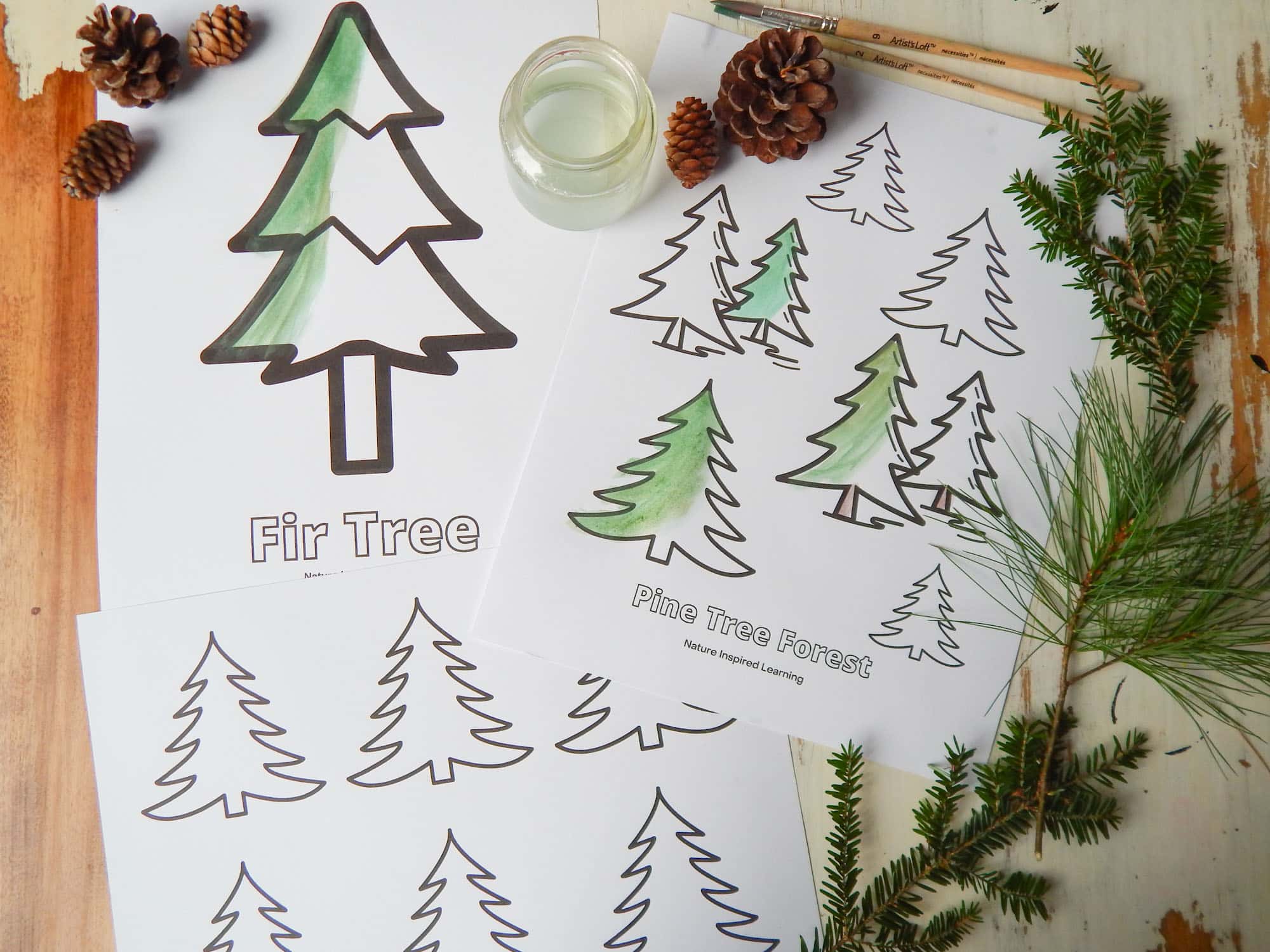 Pine tree coloring pages for kids