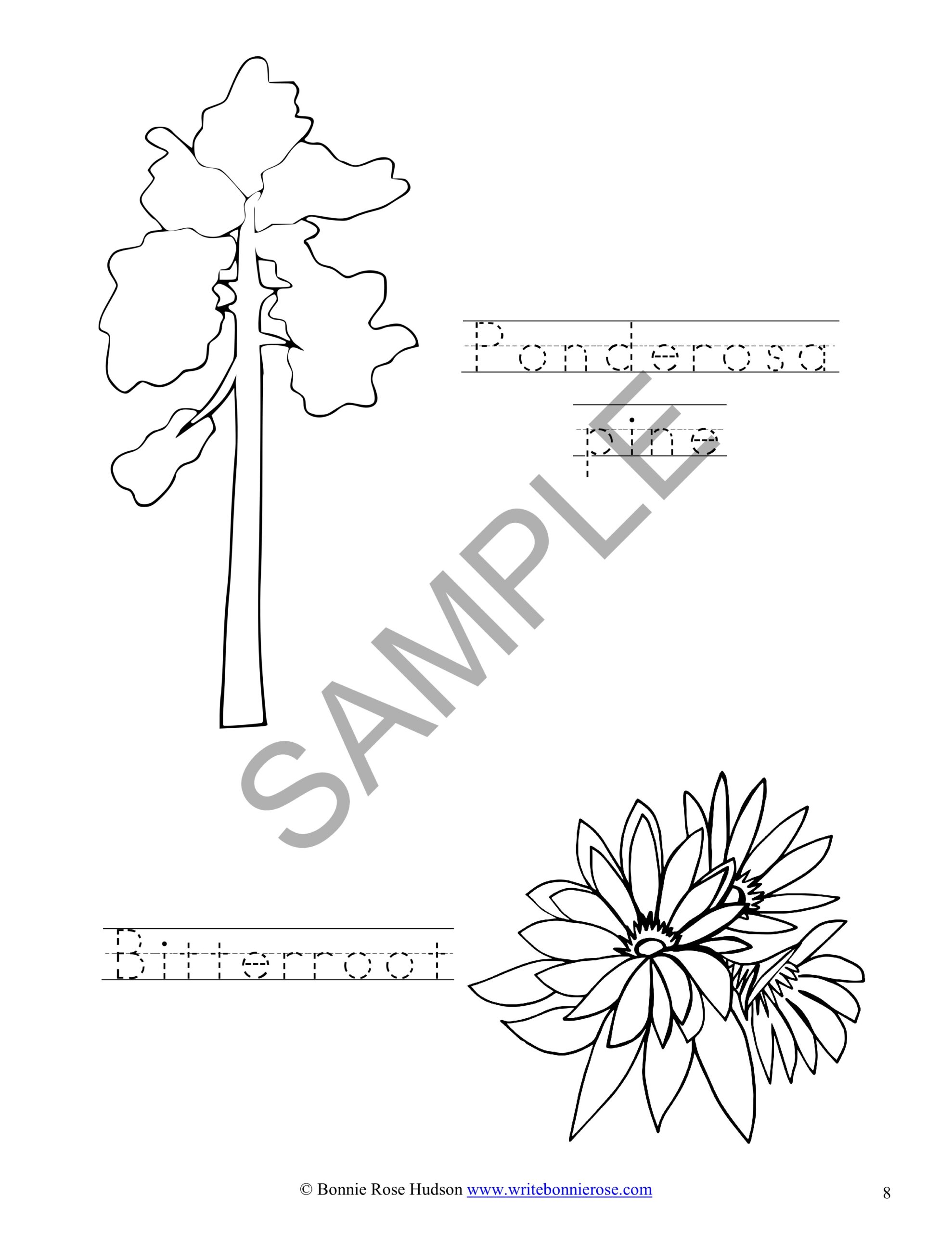 Exploring the united states coloring book with print copywork bundle made by teachers