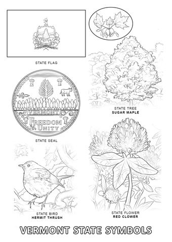 Vermont state symbols coloring page from vermont category select from printable crafts of cartoons natâ state symbols flag coloring pages coloring pages
