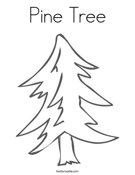 Top pine tree coloring pages ideas and inspiration
