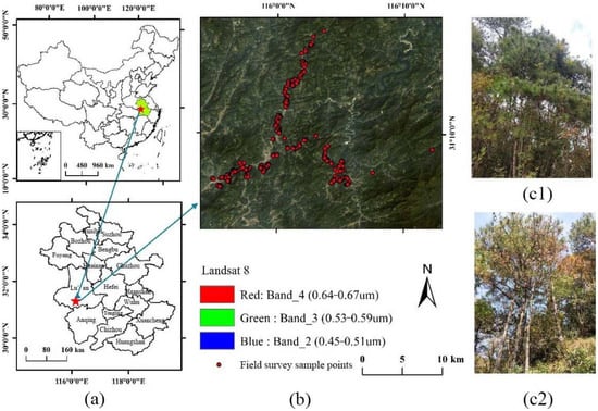 Remote sensing free full