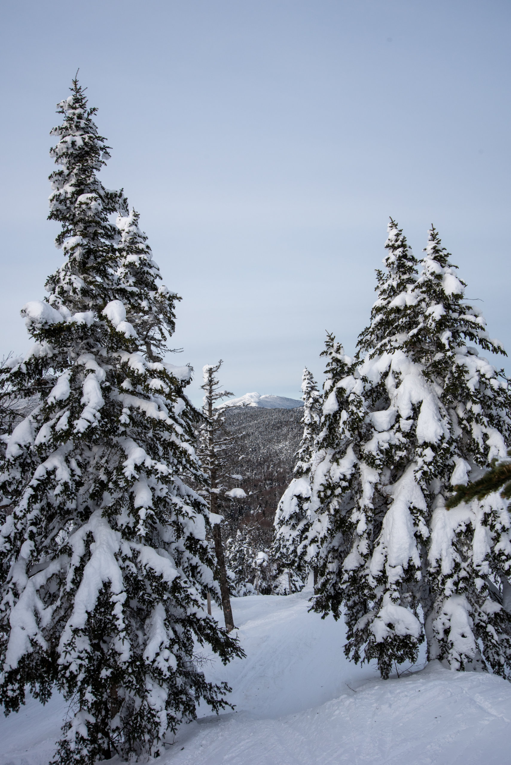 A day in the life of a snow reporter