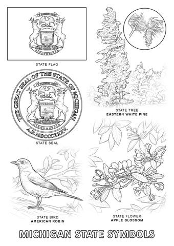 Michigan state symbols coloring page from michigan category select from printable crafts of cartoons nâ state symbols flag coloring pages coloring pages