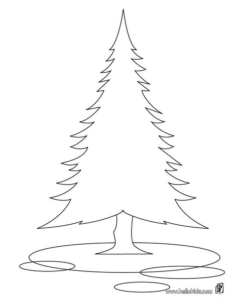 Top pine tree coloring pages ideas and inspiration