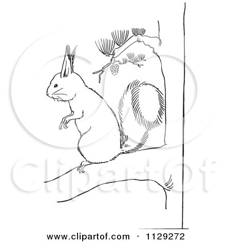 Cartoon clipart of an outlined squirrel on a pine tree branch
