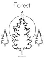 Pine tree coloring page