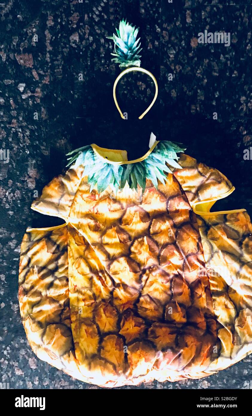 Pineapple costume hi