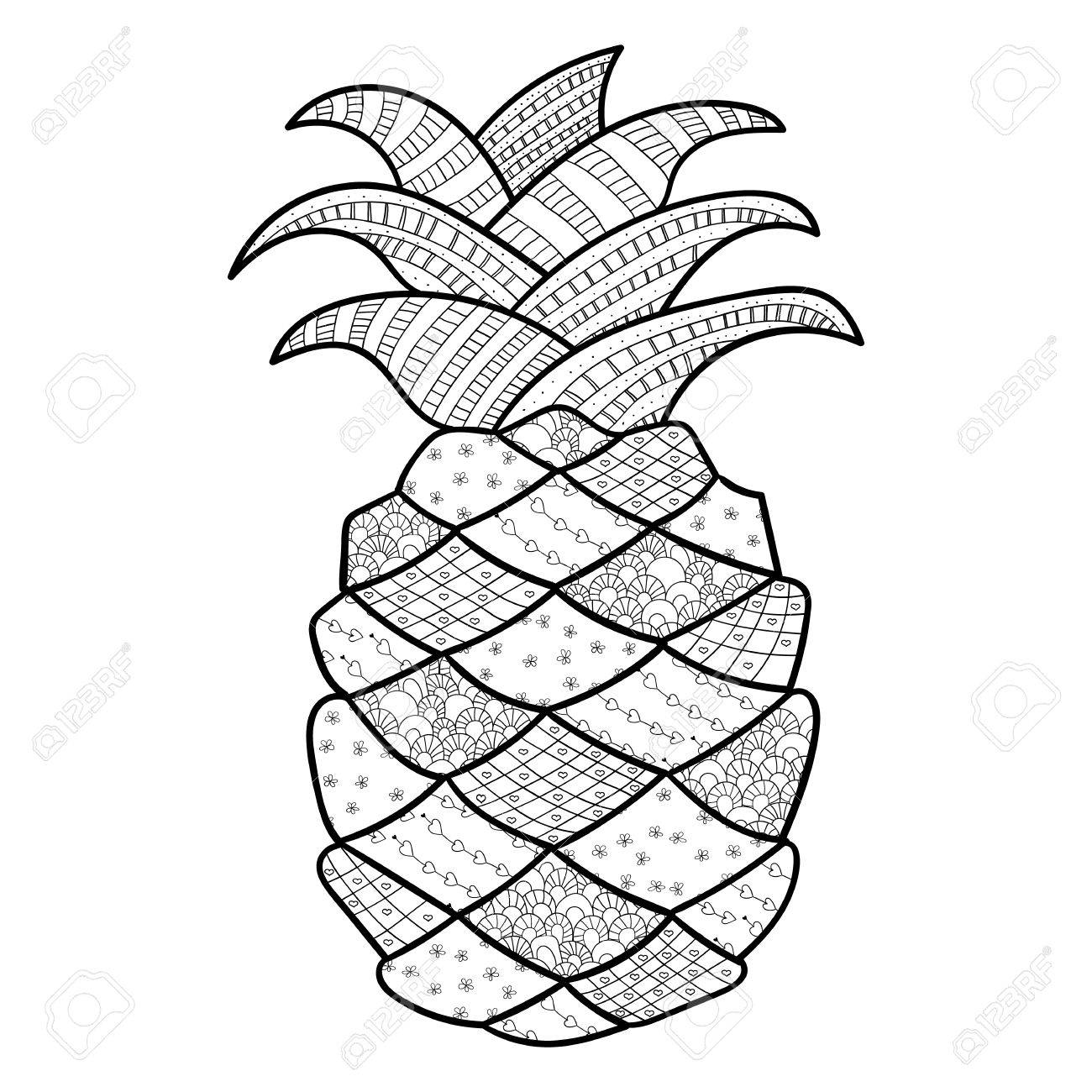 Pineapple adult coloring page zentangle inspired whimsical line art vector illustration royalty free svg cliparts vectors and stock illustration image