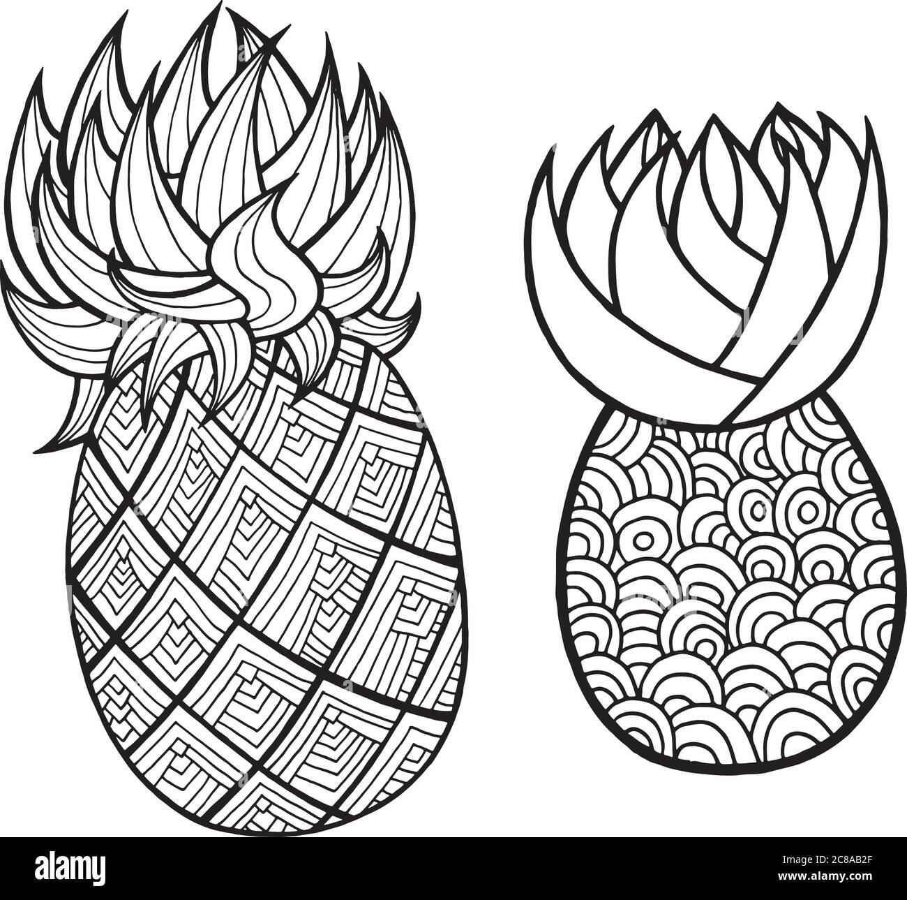 Black white pineapple hi