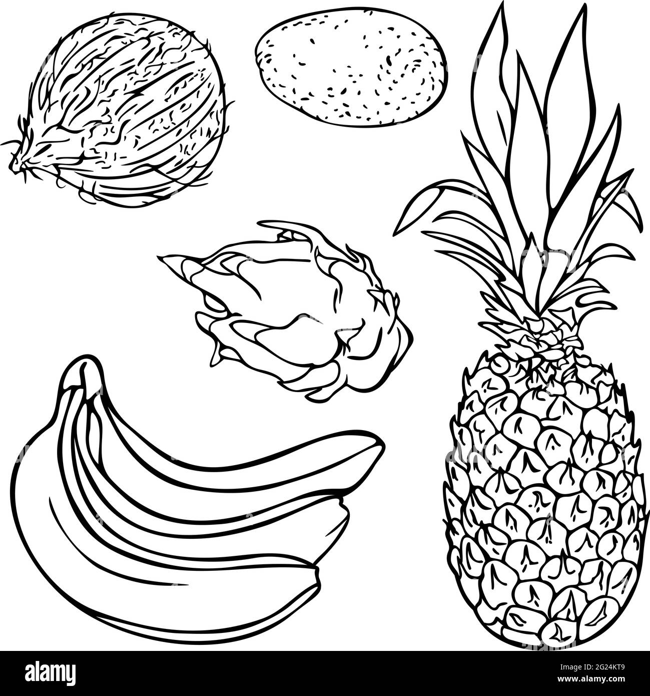 Exotic fruits black and white stock photos images