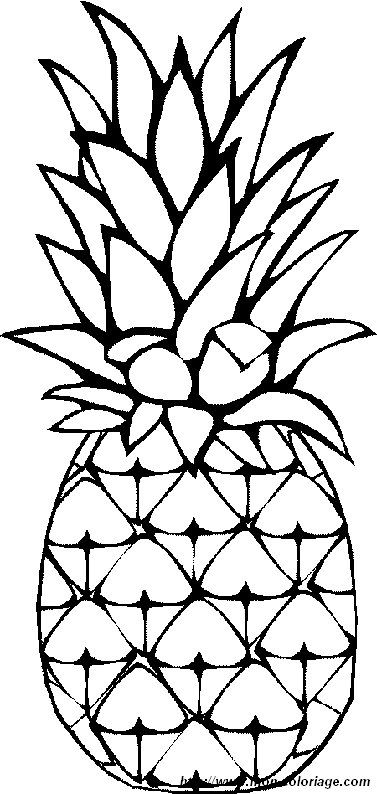Coloring fruits page pineapples pineapple drawing pineapple art pineapple painting