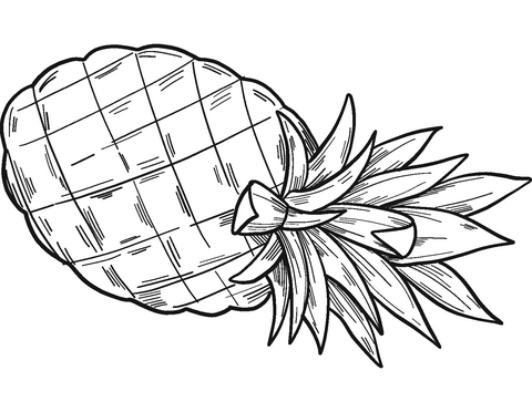 Pineapple coloring page free printable coloring pages