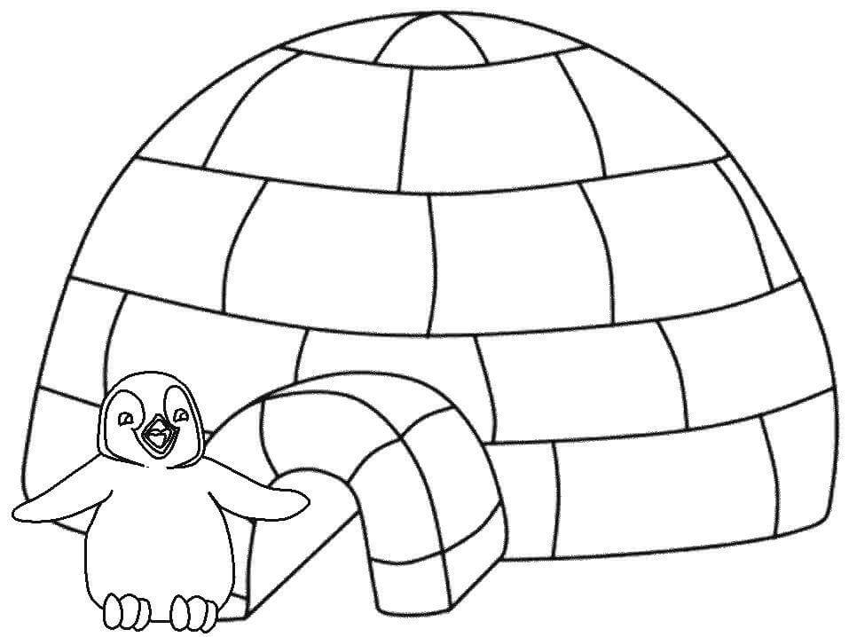 Pinguino e iglãº para colorear imprimir e dibujar â