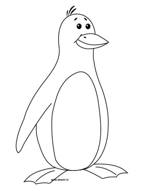 Cãmo dibujar un pinguino real ã paso a paso muy fãcil