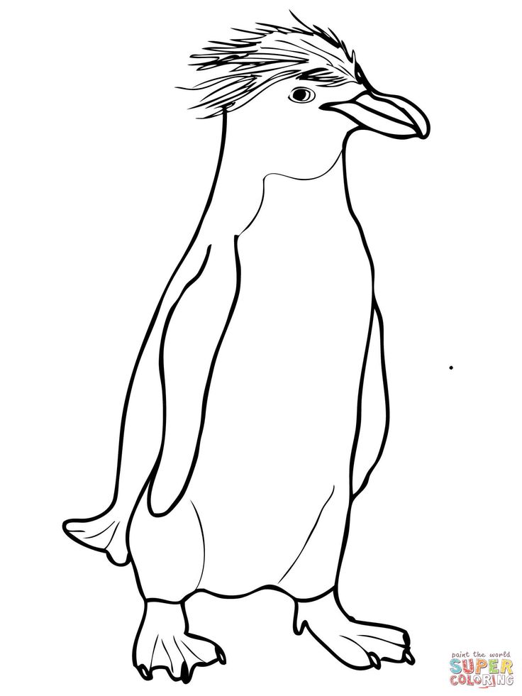 Macaroni crted penguin super coloring penguin coloring pag penguin coloring penguins