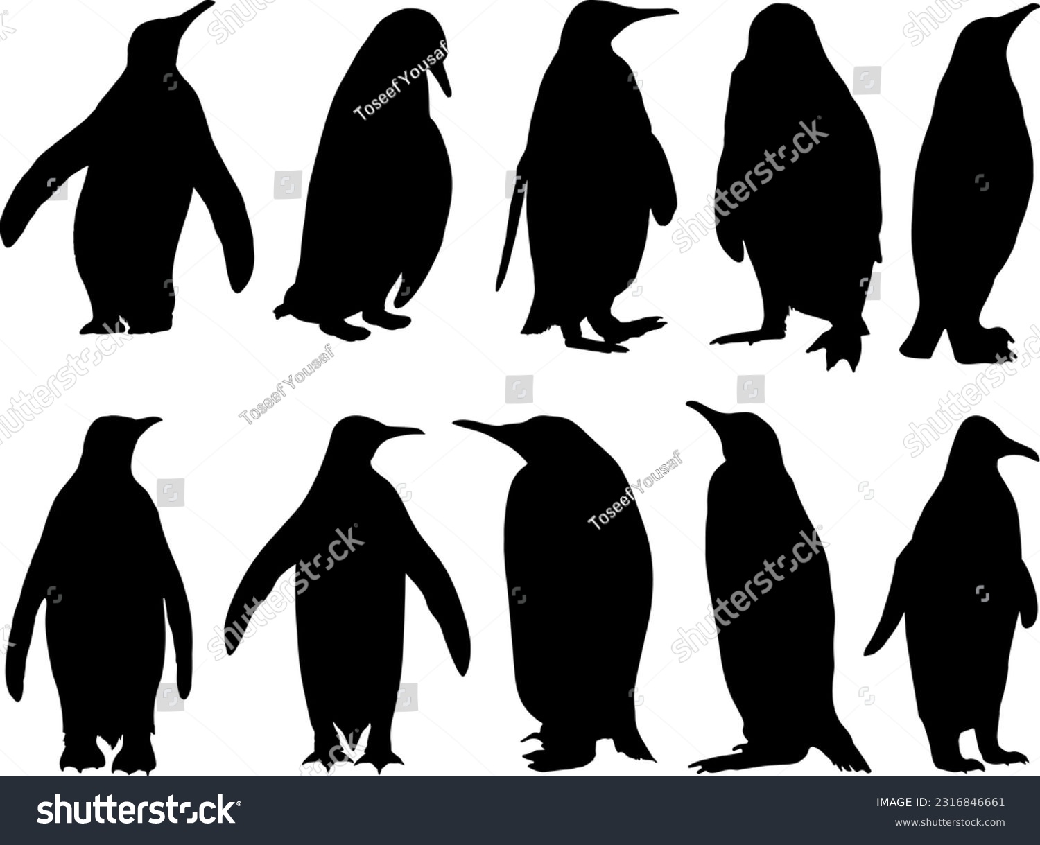 Free penguin graphics stock photos