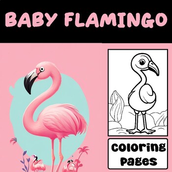 Pretty in pink flamingo coloring pages by lustop tpt