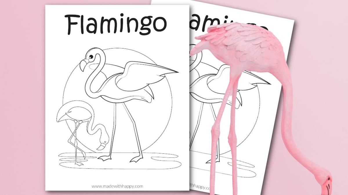 Flamingo coloring pages