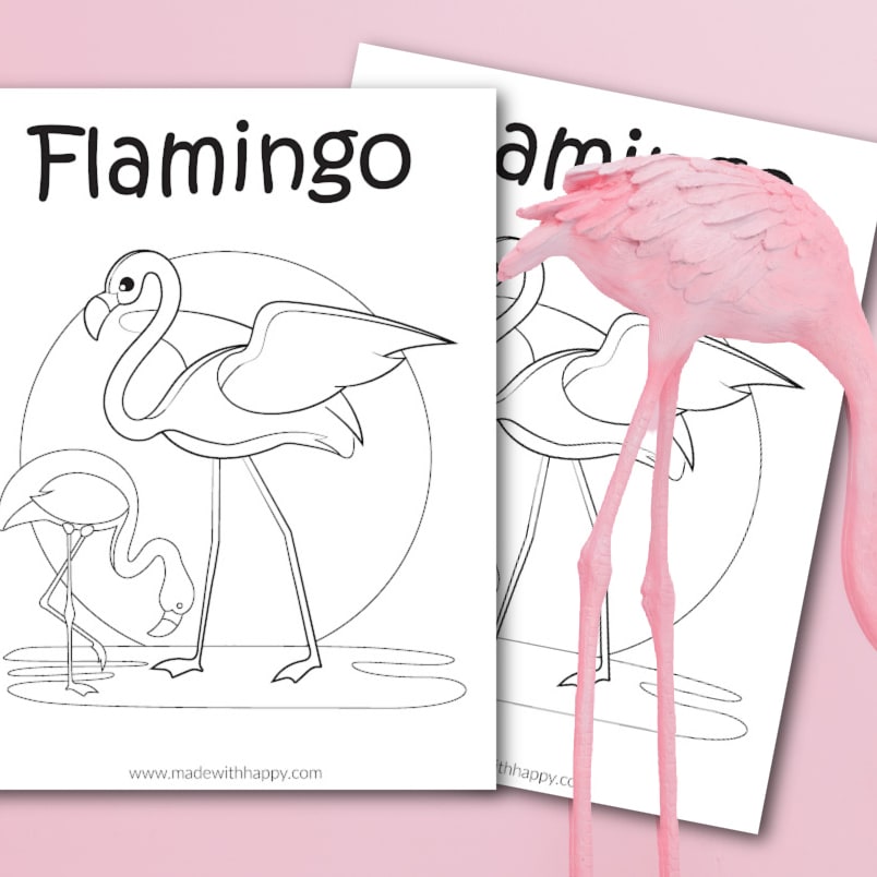 Flamingo coloring pages