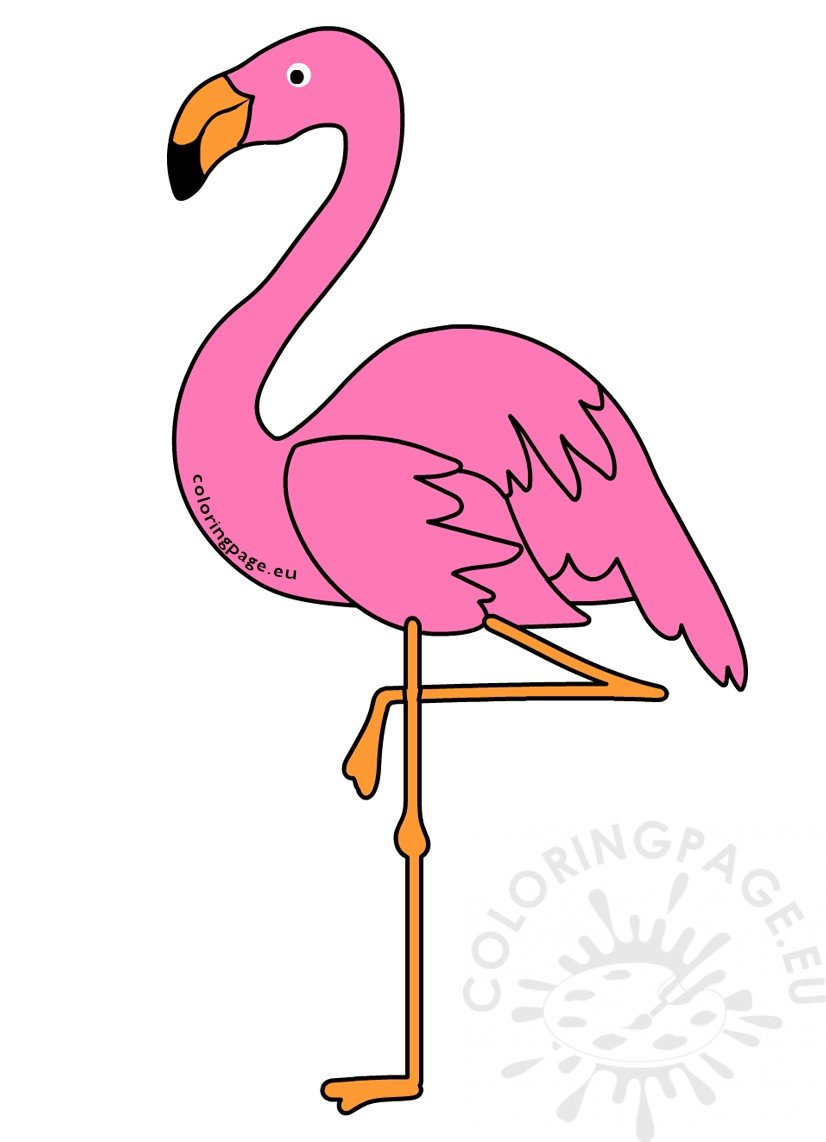 Pink flamingo bird image coloring page