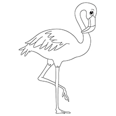 Top flamingo coloring pages for toddlers
