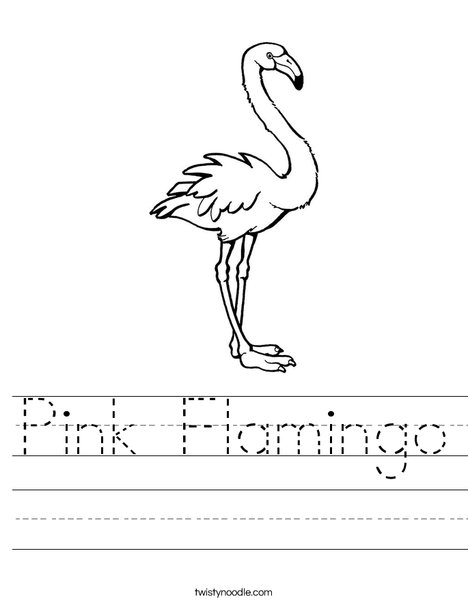 Pink flamingo worksheet
