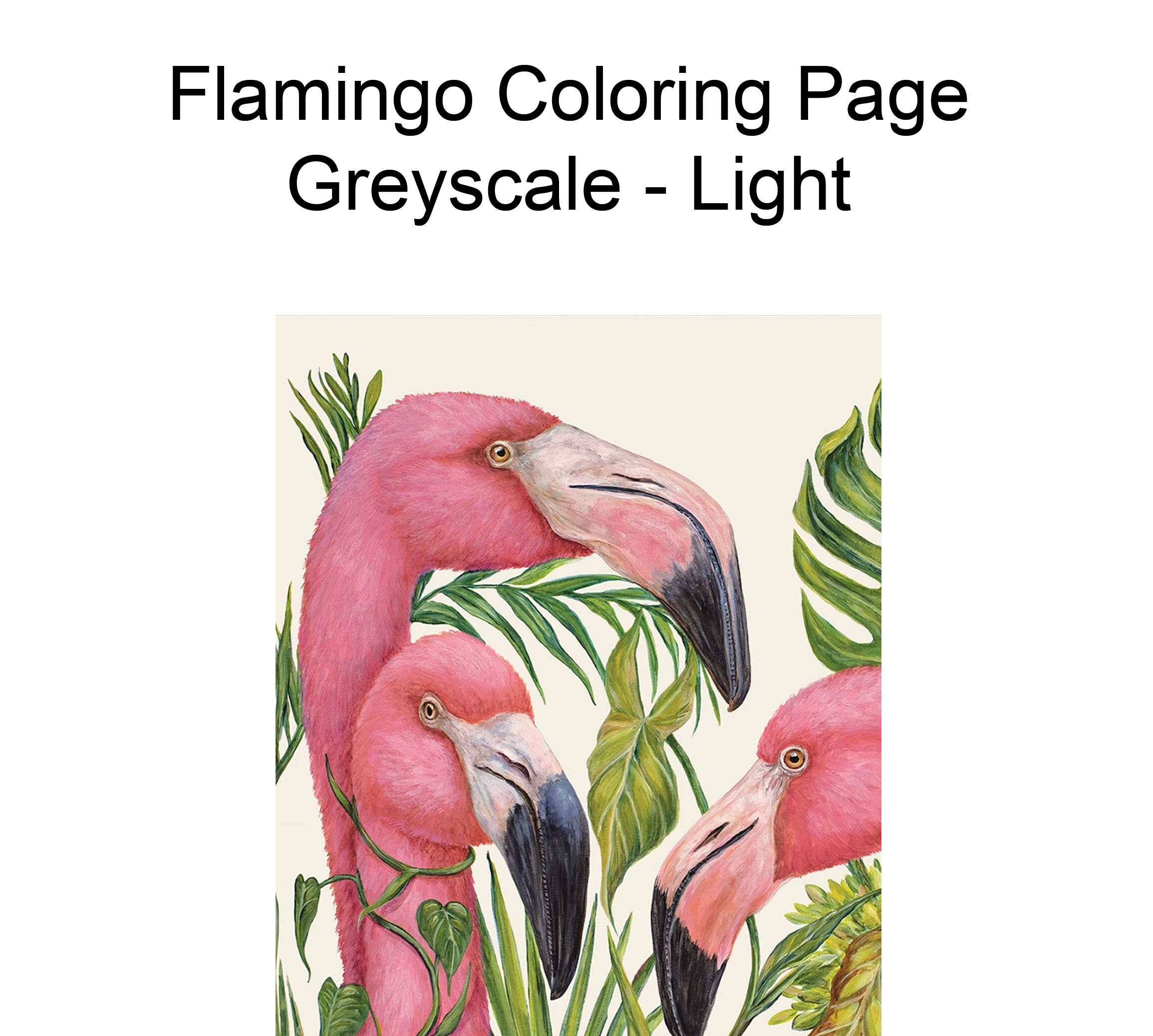 Flamingo coloring page greyscale printable instant download adult coloring pages easy x lisa brando extreme coloring