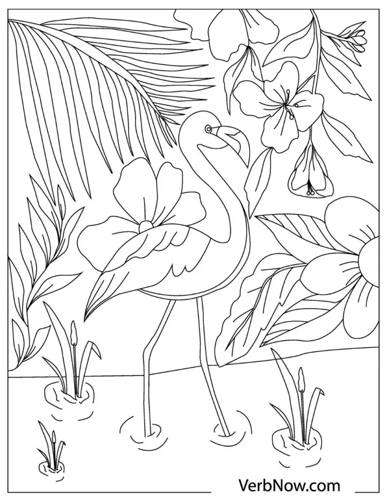 Free flamingo coloring pages for download printable pdf