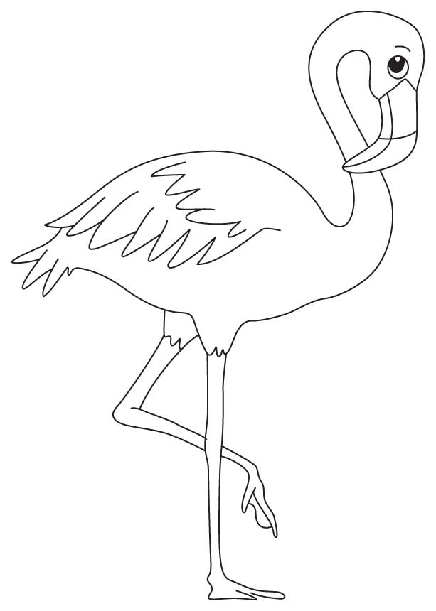 A wading bird coloring page download free a wading bird coloring page for kids best coloring pages