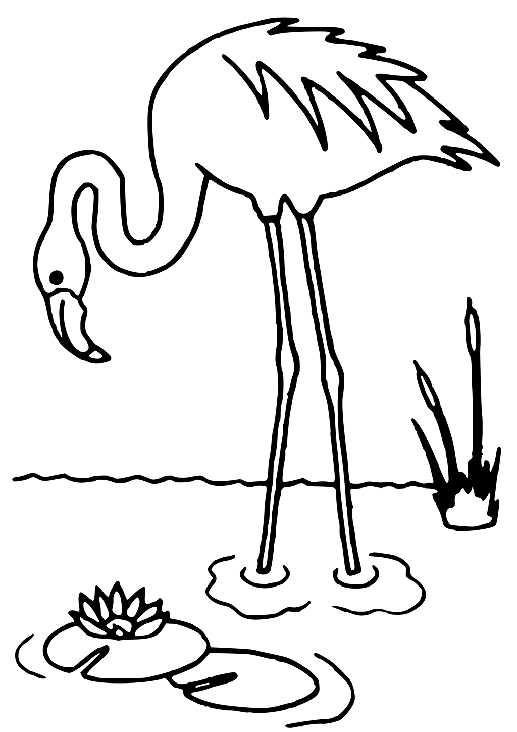 Flamingo coloring pages