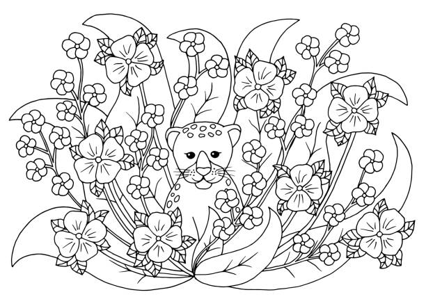 Panther cub coloring page stock illustrations royalty